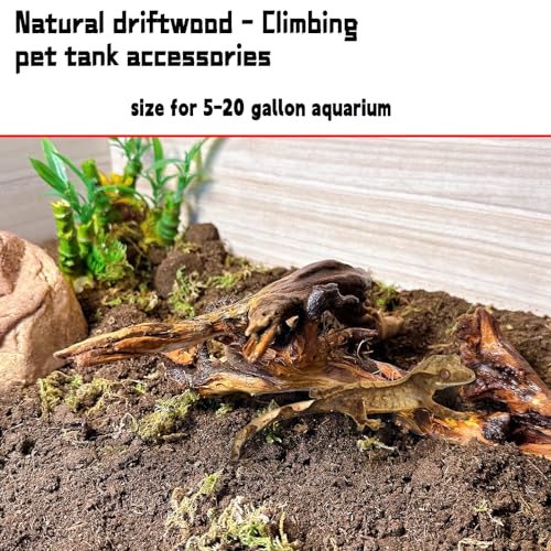 Hamiledyi 5PCS Driftwood for Aquarium 3.5-7in Drift Wood Branches Betta Fish Tank Decor Accessories - size: Mopani driftwood 3.5-7in 5PCS