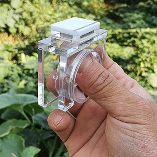 Reptiles Water Feeder Bowl with AntiEscape Design and Suction Base for Secure Placement in Habitats Secure Suction Feeder Bowl - color: Magnet Food Station