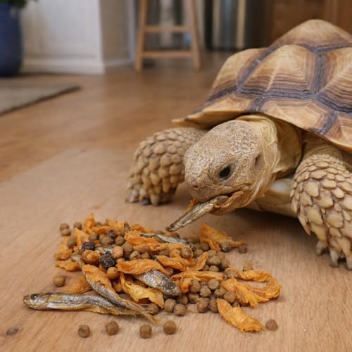 Buffet Blend Aquatic Turtle Food with Fish, Shrimp Proteins | Tortoise Food Pellets for Red-Eared Slider, Map, Painted, Box Turtle, Musk & Snapping Turtles (4 oz)