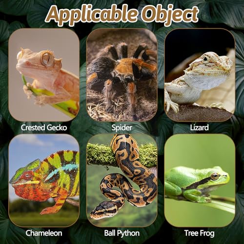 BNOSDM Reptile Cork Bark Substrate Tortoise Bedding for Lizard, Crested Gecko