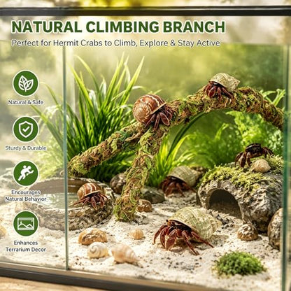 Moss Vine for Hermit Crabs and Snails, 12.2 Inch Simulation Moss Rope Climbing Toy, Adjustable Terrarium Decor for Hermit Crab Habitat, Also for Geckos, Lizards, Frogs, and Small Snakes