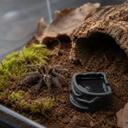 6 Pcs Spider Micro Water Bowls, Mini Resin Dish for Tarantula, Spider, Millipede and Tiny Reptiles, Food/Water Dish for Enclosure Accessories (1.65" D, 0.59" H) - size: Large- 6pack