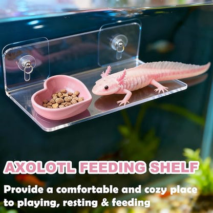 Axolotl Feeding Shelf with Feeder Bowl, Axolotl Hammock for Aquarium with Feeding Tray, Axolotl Tank Accessories for Bearded Dragons, Geckos, Lizards, Hamsters, Crabs - color: Feeding Shelf with Pink Feeder Bowl