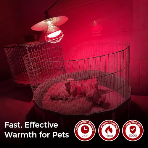 250W Heat Lamp Red Infrared Bulbs, Flood Light Heat Lamp Bulb for Food Service, Brooder Bulb, Chicks, Pet, Bathroom, Light Therapy Use, Glass, 2 Pack - style: Red Infrared -250W-2Pack