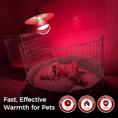 250W Heat Lamp Red Infrared Bulbs, Flood Light Heat Lamp Bulb for Food Service, Brooder Bulb, Chicks, Pet, Bathroom, Light Therapy Use, Glass, 2 Pack - style: Red Infrared -250W-2Pack