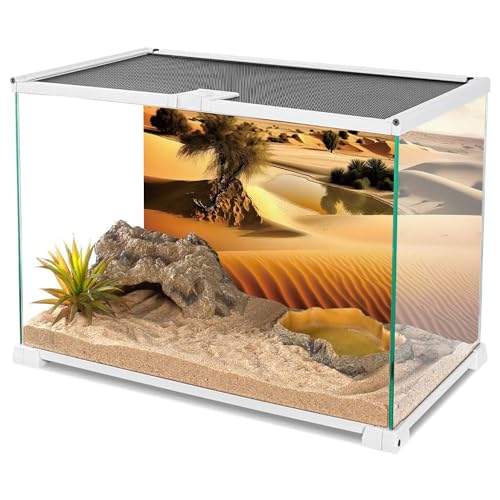 AWERT 48x18 inches Oasis Reptile Habitat Background Blue Sky Sun and Desert Terrarium Background Polyester Background - size: 48x18in/120x45cm