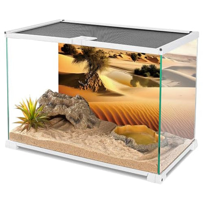 AWERT 72x24 inches Oasis Reptile Habitat Background Blue Sky Sun and Desert Terrarium Background Polyester Background - size: 72x24in/180x60cm