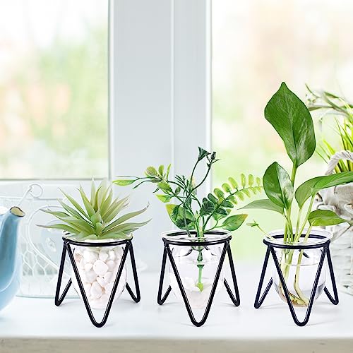 Jspupifip 3 Pcs Glass Plant Terrarium with Metal Stand | Air Plants Holders, Hydroponic Plant Vases, Desktop Bulb Glass Vase, Home Office Decor