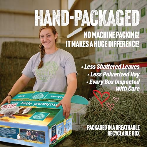 Small Pet Select Orchard Grass Hay Pet Food, 2 lb.