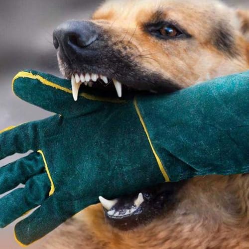 Asixxsix Animal Handling Gloves, Bite Proof Long Gloves for Cat Reptile Snake, Puncture & Scratch with Extended Design, for Pet Training, Outdoor Adventures
