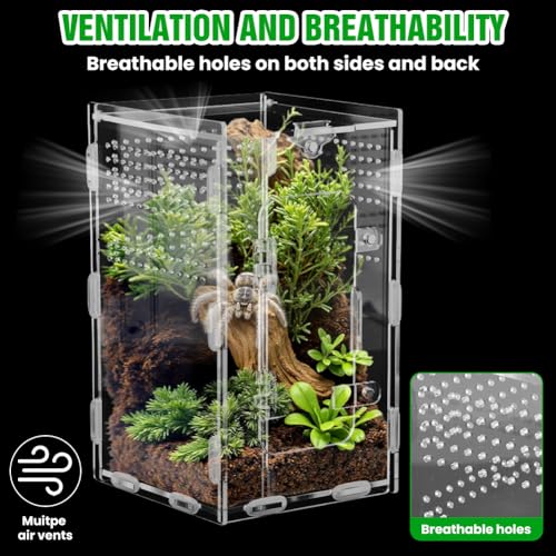 Acrylic Spider Enclosure, Jumping Spider Terrarium 4.7x4.7x7.9in | Dual access doors and micro-vent holes for feeding, misting, cleaning, and airflow