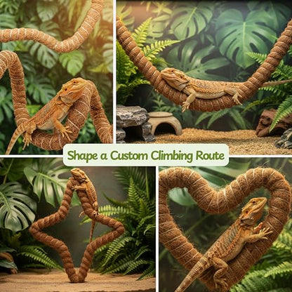 Bearded Dragon Climbing Bridge with Veggie Feeder Ball – Bendable Vine Enrichment Route for Large Tanks, Greens Intro Kit, Reptile/Lizard Tank Accessories (Salad Feeder Ball) - color: Salad Feeder Ball