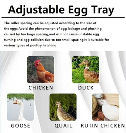 Generic Egg Incubator, LED High-Efficiency Automatic Egg Turning & Temperature Control, Automatic Incubator for Hatching Eggs, for Hatching Chicken Duck Quail Eggs, 256 Eggs, Blue
