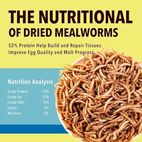 WormsFarm 5lb Dried Mealworms for Chickens Treats for Laying hens,Bluebirds,Quail,Chicken Food | treats for laying hens,blue birds - size: 5 Pound (Pack of 1)