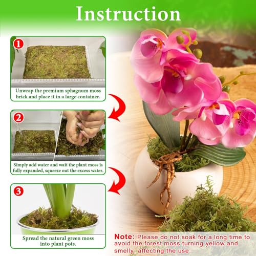 Halatool 3.3 LB Natural Green Forest Moss, Long Fiber Dried Sphagnum Moss | No Dyes, Water Retention & Areation, Dried Orchid Moss for Potted Plants Indoor & Outdoor, Orchids Repotting, Terrariums - size: 3.3 lb