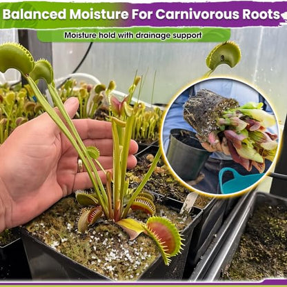 Carnivorous Plant Soil Mix, 3in1 Pre-Mixed & Ready to Use, 1.5 QT | Forest Moss, Peat Moss & Perlite, Balanced Moisture, Drainage & Airflow for Venus Flytrap, Pitcher Plant, Sundew & Butterwort - size: 1.5 QT