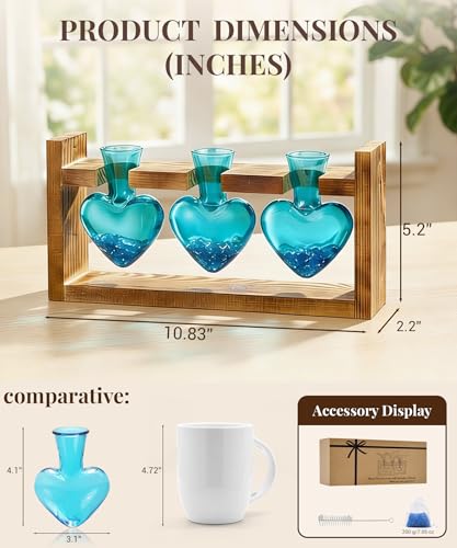 Nacome Plant Terrarium with Wooden Stand, 3 Heart Bulb Glass Vases | Wooden Stand Tabletop for Air Planter, Gifts for Mom Plant Lovers Mom Women Wife Grandma - color: Blue