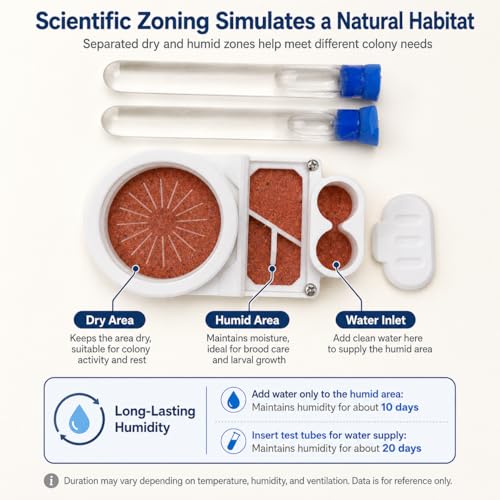 Beginner Ant Nest with Foraging Area and Humidity Zone, Dry Wet Separation Plaster Chamber, Fits 15mm Test Tubes, for Small to Medium Ant Colonies