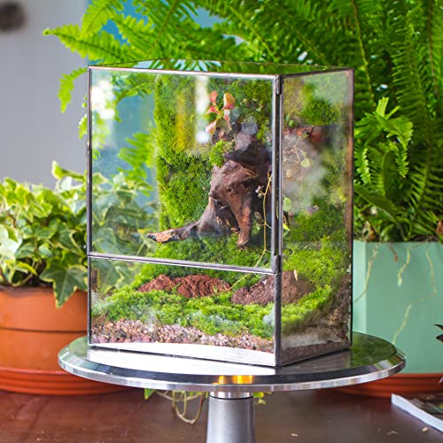 NCYP Close Glass Terrarium with Door - 7.8 x 5.1 x 9.8 Inches Landscape Clear Glass Planter for Small Tropical Plants, Moss Wall - Indoor Tabletop Centerpiece, Garden Decor (Terrarium Only) - size: 7.8x5.1x9.8 inches