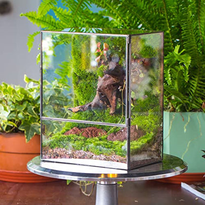 NCYP Close Glass Terrarium with Door - 7.8 x 5.1 x 9.8 Inches Landscape Clear Glass Planter for Small Tropical Plants, Moss Wall - Indoor Tabletop Centerpiece, Garden Decor (Terrarium Only) - size: 7.8x5.1x9.8 inches