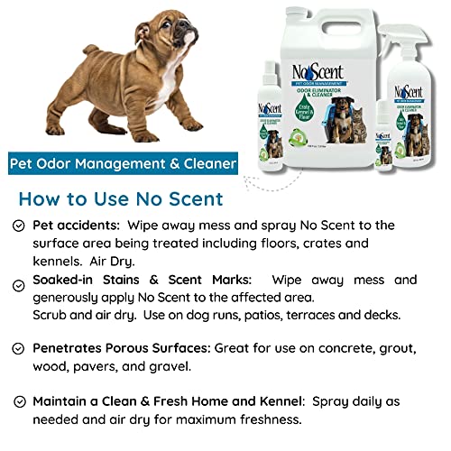 No Scent Crate Kennel & Floor Probiotic Cleaner Spray for Dog Cat Pet Odor Stains (8 Fl Oz / 237 mL) - size: 8 Fl Oz (Pack of 1)