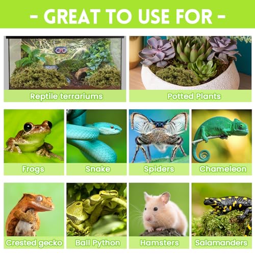 Riare 1.3lb Natural Sphagnum Moss for Reptiles, Terrarium Substrate Bedding | 50QT High Expansion, Moisture Retention, Helps Shedding, Long Fibered Dried Moss for Leopard Gecko, Snake, Frog, Turtle - color: 21 OZ