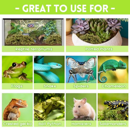 Riare 1.3lb Natural Sphagnum Moss for Reptiles, Terrarium Substrate Bedding | 50QT High Expansion, Moisture Retention, Helps Shedding, Long Fibered Dried Moss for Leopard Gecko, Snake, Frog, Turtle - color: 21 OZ