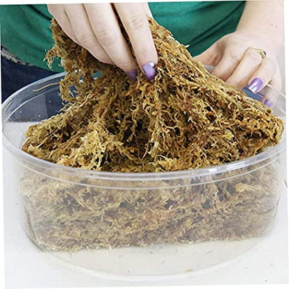 Sphagnum Moss Dried Spagnum Dry Moss for Reptiles Bedding and Terrarium Pet Supplies 150g Sphagnum Dried Dry for Reptiles Reptile Spagnum for Plants