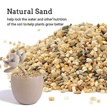5 lb Coarse Sand Stone - Succulents and Cactus Bonsai DIY Projects Rocks, Decorative Gravel for Plants and Vases Fillers，Terrarium, Fairy Gardening, Natural Stone Top Dressing for Potted Plants. - size: 5 LB