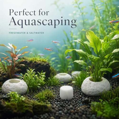 3 Pack White Pebble Plant Weights for Aquarium, Natural Drilled Stone Plant Anchors with 1.2 Inch Hole & Foam Sponge, Aquatic Plant Holders for Fish Tank, Terrarium, Succulent Planter - color: 1.2″ Hole 6pcs