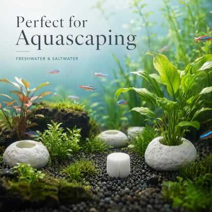 3 Pack White Pebble Plant Weights for Aquarium, Natural Drilled Stone Plant Anchors with 1.2 Inch Hole & Foam Sponge, Aquatic Plant Holders for Fish Tank, Terrarium, Succulent Planter - color: 1.2″ Hole 6pcs