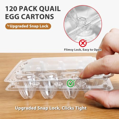 120 Pack Quail Egg Cartons 12 Grid, Heavy Duty Snap Lock Clear Plastic Small Egg Container, Stackable Bulk Tray for Quail Pigeon Button Eggs - Not for Chicken Eggs