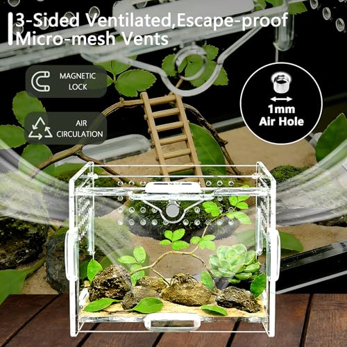 Mini Acrylic Spider Enclosure, Clear Habitat with 1mm Ventilation | Compact clear acrylic enclosure with 1 mm ventilation holes for jumping spiders and other small invertebrates. - size: Small Square Acrylic Terrarium