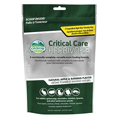 Oxbow Critical Care Herbivore, Rabbit & Guinea Pig, Apple Banana, 454 g | Herbivore Emergency Food, Recovery, Rabbit Food, Recovery Diet, Apple Banana, Syringe, Tube Feeding, Complete Nutrition - size: 16.01 Ounce (Pack of 1)