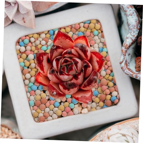 Ceramsite Pebbles for Succulent Pots Decorative Supplies for Plant Displays DIY Aquarium Styling and Enhanced Air Permeability