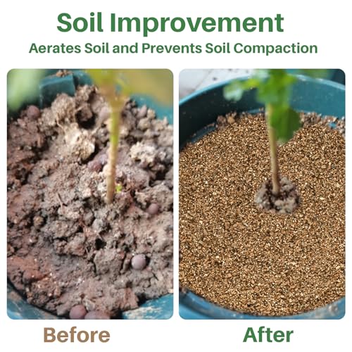 Sukh 14.6oz Organic Vermiculite for Plants - Gardening & Potting Supplies | Soil Amendment for Seed Starting, Indoor Potting, Gardening, Fine - Moisture Retention, Coarse - Aeration & Drainage - size: 3-6MM