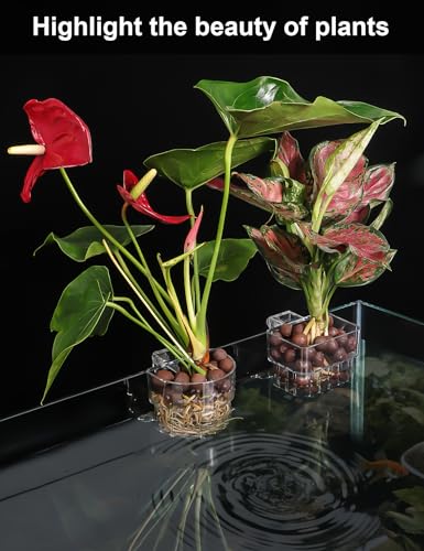 2 Pack Clear Aquarium Plant Holder Top Hanging Fish Tank Plant Holders Fits up to 0.8in Tank Edges, Aquarium Décor - color: Square-White