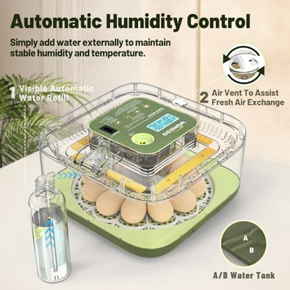 12 Egg Incubator with Automatic Egg Turning and Humidity Control, LED Egg Candling Light, Customized Incubation Days, Incubators for Hatching Eggs, Chicken Quail Parrot Pigeon Birds, Green - size: 12 eggs