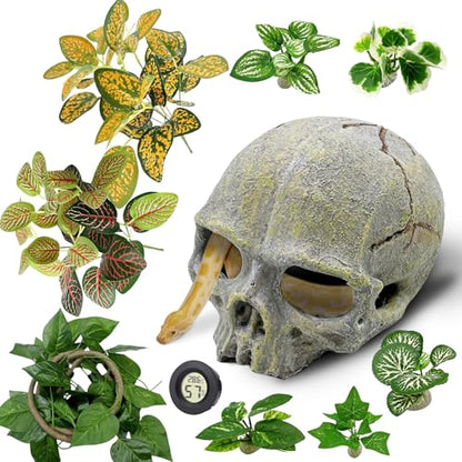 Tfwadmx 11Pcs Human Skull Decor with Plants, Snake Hide, Gecko Tank Accessories, Resin Skull with Climbing Vines Reptile Terrarium Tank Decor for Tarantulas, Lizards