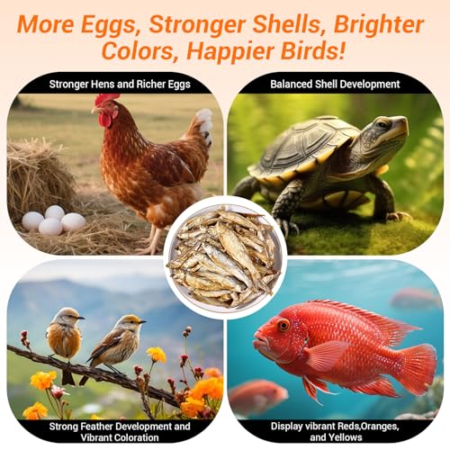 Dried Freshwater Fish, 1 Lbs Resealable Bag - Natural High-Protein Food for Turtles, Reptiles, Large Tropical Fish, Cats, Small Pets and Chicken - Crude Protein 30% Min