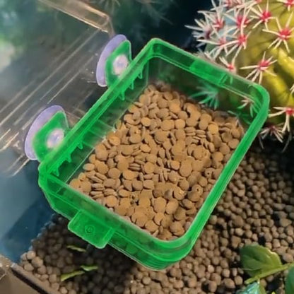 Reptile Suction Cup Feeder 2 Pack, Anti-Escape Food Bowl | for Gecko Lizard Iguana Chameleon Spider Frog Snake, Wall Mount Strong Suction Feeding Dish (Green, S)