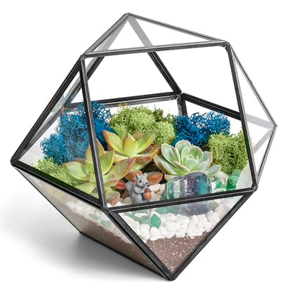 Creations by Nathalie DIY Geometric Glass Terrarium Kit with Live Plant | DIY geometric glass terrarium kit with live plant, moss, and tools for creating indoor terrarium displays with your plants. - color: Dodecahedron Black Frame