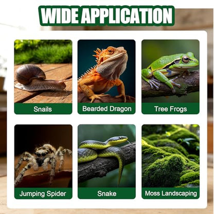 Acrylic Jumping Spider Enclosure, Transparent Reptile Terrarium Enclosure, Small Reptiles Habitat Tank Breeding Box for Tarantula Insect Snake Lizard (13.78 Large) - color: 7.87×7.87×13.78