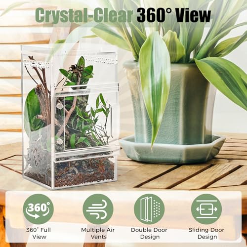 Pre-Assembled Jumping Spider Enclosure 3x3x6 Inch Acrylic Spider Cage Insect Terrarium Bug Enclosure Tarantula Enclosure Reptile Terrarium for Snail, Mantis, Lizard, and Small Reptiles
