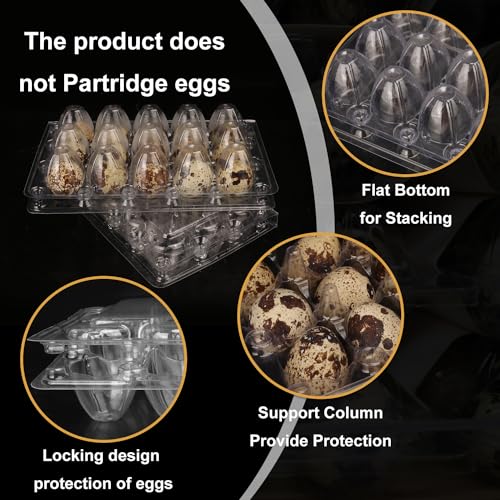 200 Pack Quail Egg Cartons, Clear Plastic Quail Egg Trays, Holds up to 15 Quail Eggs Securely - Your Ultimate Small Eggs Carton Holders for Bulk Storage and Display - size: 15 Grids