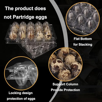 200 Pack Quail Egg Cartons, Clear Plastic Quail Egg Trays, Holds up to 15 Quail Eggs Securely - Your Ultimate Small Eggs Carton Holders for Bulk Storage and Display - size: 15 Grids