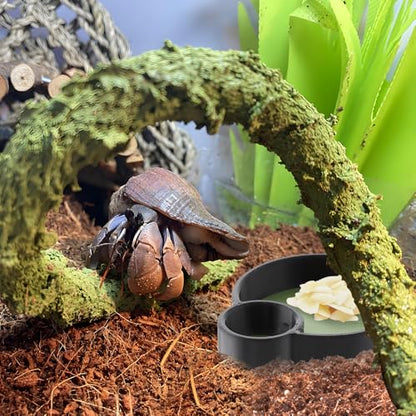 2 Pcs Hermit Crab Food Bowl Round Water Bowl Feeding Dish for Hermit Crab Snail Millipede Small Reptiles