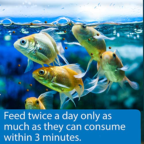 API GOLDFISH PELLETS Fish Food 4-Ounce Container, Medium, Model:833B - size: 4 Ounce (Pack of 1), style: Goldfish