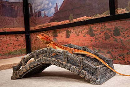 Reptile Bridge, Brown, Reptile Habitat Accessory