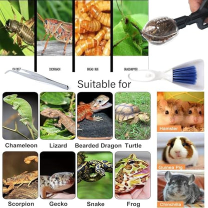 Tiny Cleanning Broom, Scooper Feeding Tool,Mini Dustpan and Brush, Stainless Steel Tweezer Reptile Tank Cleaner for Reptile and Other Small Animals Supplies 3Pcs